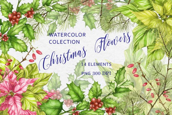 Download Christmas Flowers Watercolor Clipart - Christmas flowers Collection